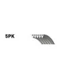 Courroie trapézoïdale à nervures GATES 5PK868SF - Visuel 2