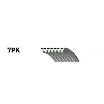 Courroie trapézoïdale à nervures GATES 7PK1705ES