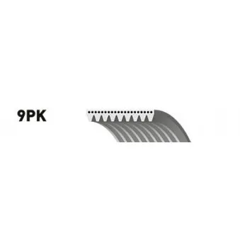 Courroie trapézoïdale à nervures GATES 9PK2250ES