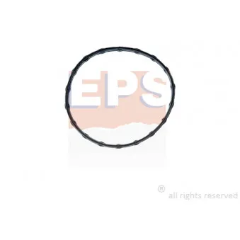 Joint d'étanchéité, thermostat EPS