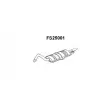 Silencieux arrière Faurecia FS25001 - Visuel 1