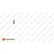 Ampoule, feu clignotant EUROREPAR 1616431880 - Visuel 1