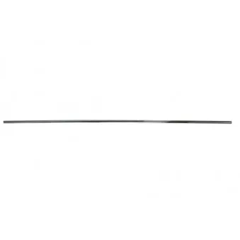 Baguette et bande protectrice, porte avant droit BLIC 5703-04-3518572P