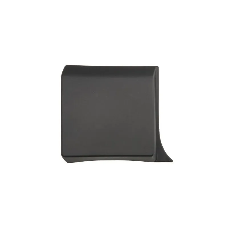 Baguette et bande protectrice, aile avant droit BLIC 5703-04-6063582P