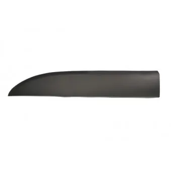 Baguette et bande protectrice, aile avant gauche BLIC 5703-04-6063585PP