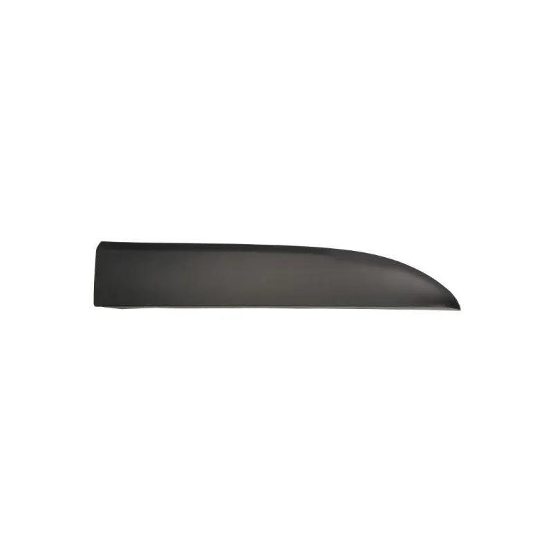Baguette et bande protectrice, aile avant gauche BLIC 5703-04-6063586PP