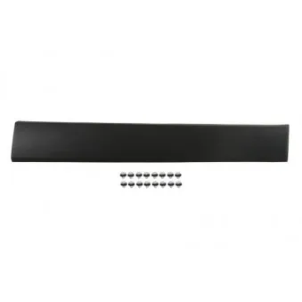 Baguette et bande protectrice, aile avant gauche BLIC 5703-04-6063587P