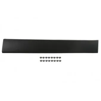 Baguette et bande protectrice, aile avant gauche BLIC 5703-04-6063587PP