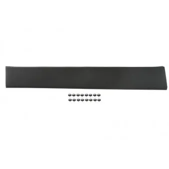 Baguette et bande protectrice, aile avant gauche BLIC 5703-04-6063588P