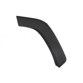 Baguette et bande protectrice, aile avant droit BLIC 5703-04-8186596P