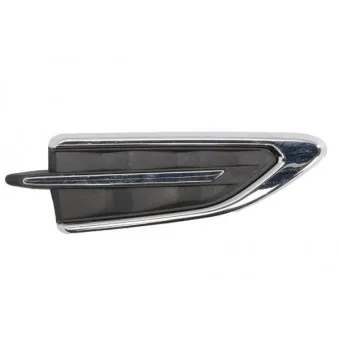 Baguette et bande protectrice, aile avant droit BLIC 5703-08-2579372PP