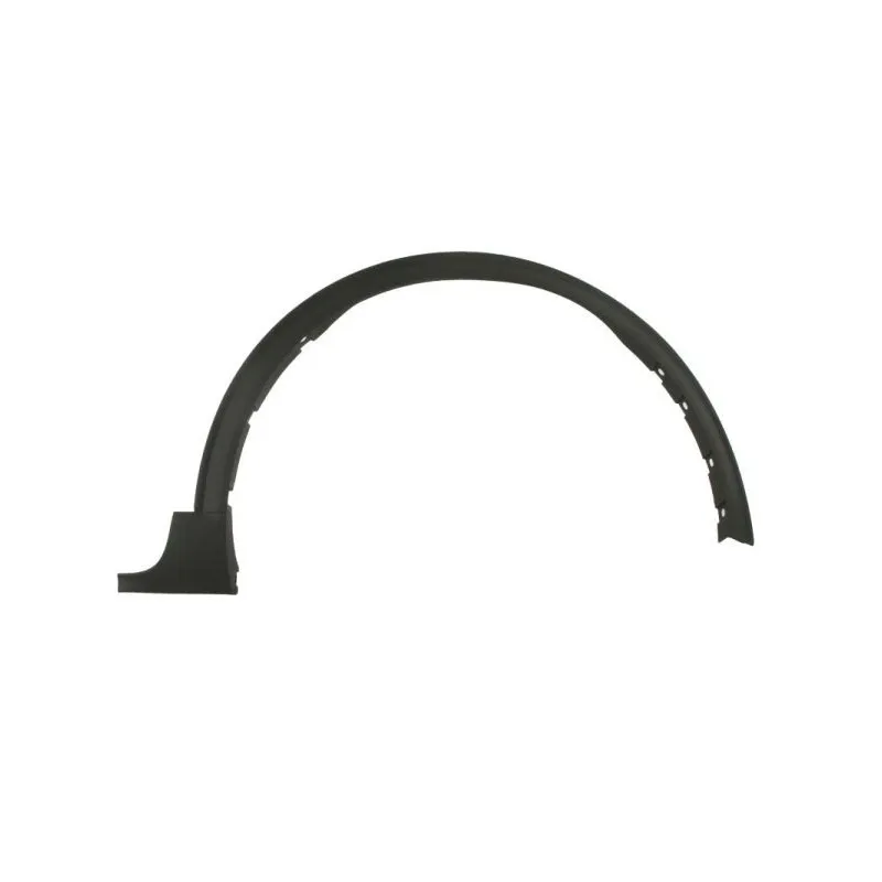 Baguette et bande protectrice, aile avant droit BLIC 5703-08-2596372P