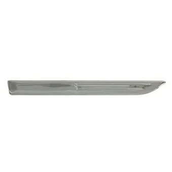 Baguette et bande protectrice, aile avant droit BLIC 5703-08-6044376CP