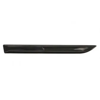 Baguette et bande protectrice, aile avant droit BLIC 5703-08-6044376P