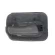 Poignet de porte, équipment intérieur arrière droit BLIC 6010-04-004408TPP - Visuel 1