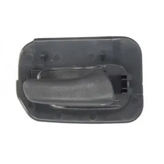 Poignet de porte, équipment intérieur arrière droit BLIC 6010-04-004408TPP