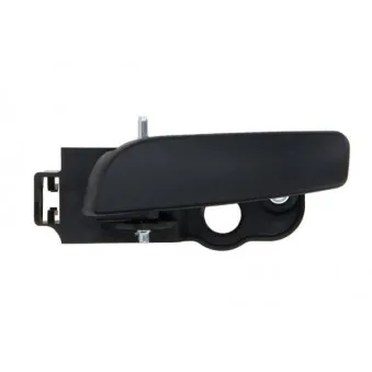 Poignet de porte, équipment intérieur arrière droit BLIC 6010-07-043408TP