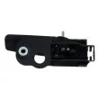 Poignet de porte, équipment intérieur arrière droit BLIC 6010-07-043408TP - Visuel 2