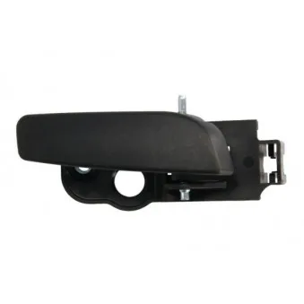 Poignet de porte, équipment intérieur arrière gauche BLIC 6010-07-043409TP