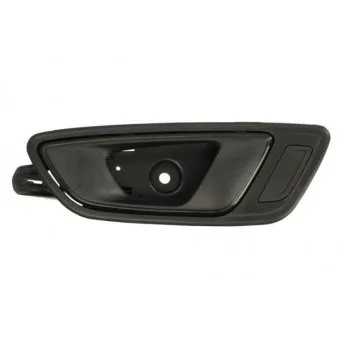 Poignet de porte, équipment intérieur avant gauche BLIC 6010-10-019409P