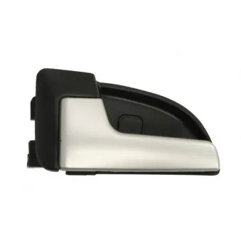 Poignet de porte, équipment intérieur avant gauche BLIC 6010-53-025409P