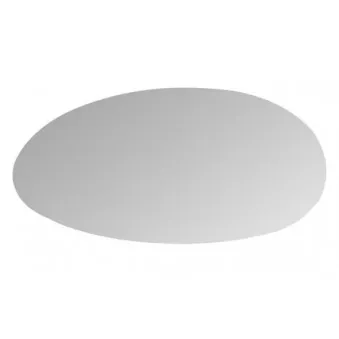 Verre de rétroviseur, rétroviseur extérieur BLIC 6102-05-0877372P