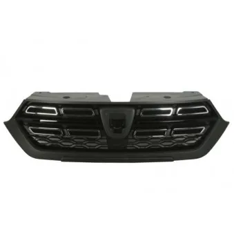 Grille de radiateur BLIC 6502-07-1311993P