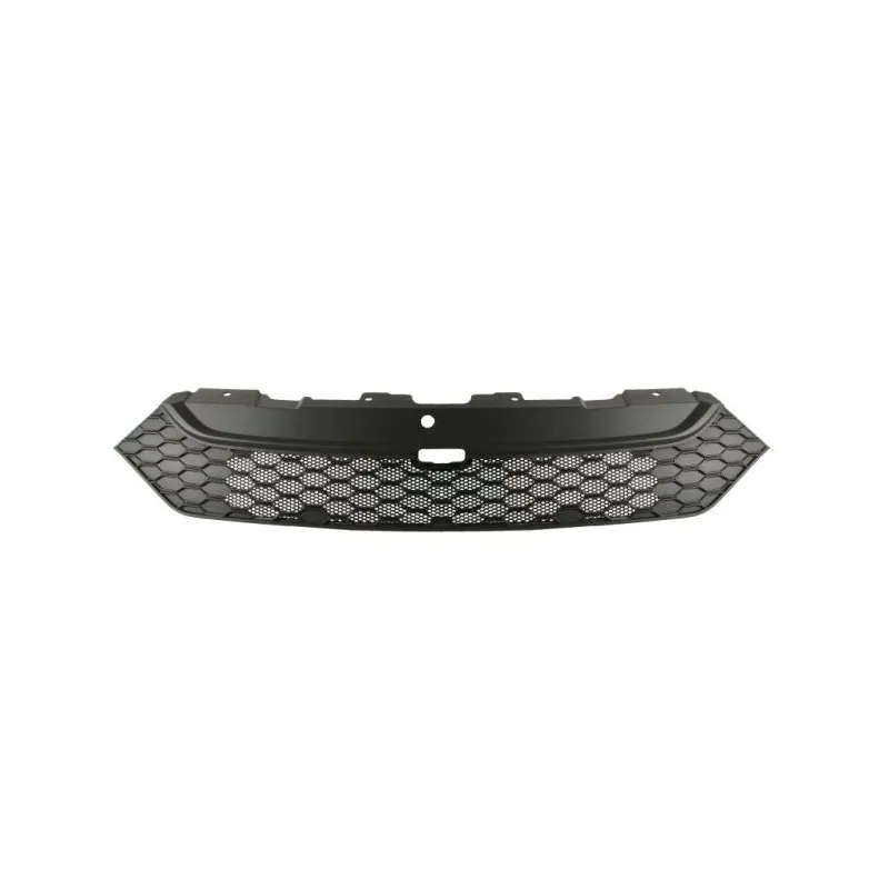 Grille de radiateur BLIC 6502-07-3083990P