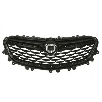 Grille de radiateur BLIC 6502-07-5054990P