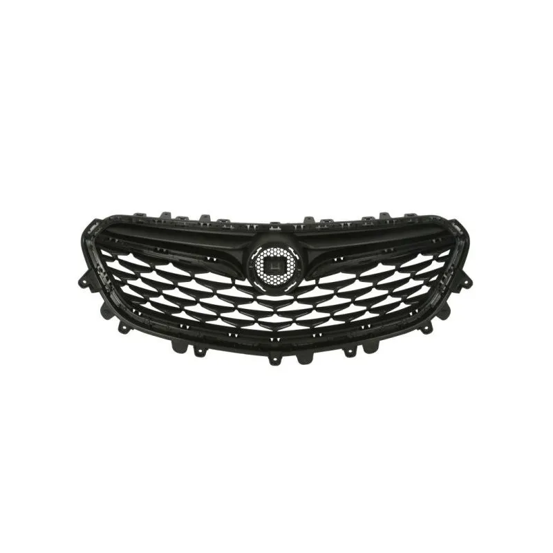 Grille de radiateur BLIC 6502-07-5054990P