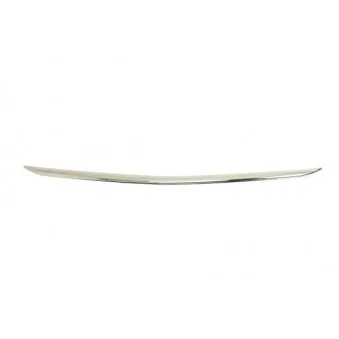 Baguette et bande protectrice, grille de radiateur BLIC 6502-07-5079999DP