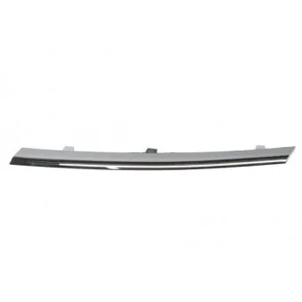 Baguette et bande protectrice, grille de radiateur BLIC 6502-07-5079999LP