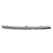 Baguette et bande protectrice, grille de radiateur BLIC 6502-07-5079999RP - Visuel 1