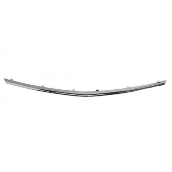 Baguette et bande protectrice, grille de radiateur BLIC 6502-07-5079999UP