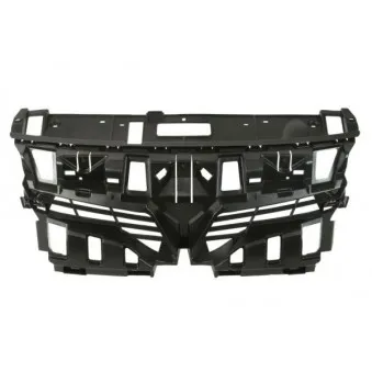 Grille de radiateur BLIC 6502-07-6046994P