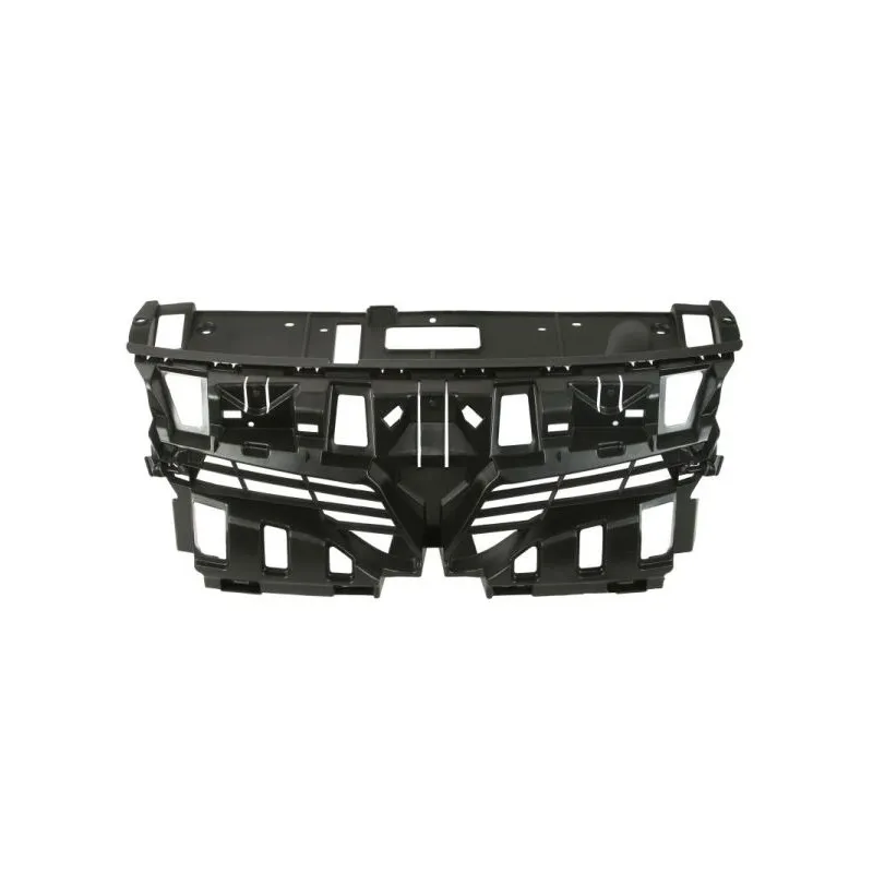 Grille de radiateur BLIC 6502-07-6046994P