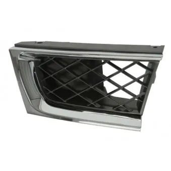 Grille de radiateur avant gauche BLIC 6502-07-6733991CP
