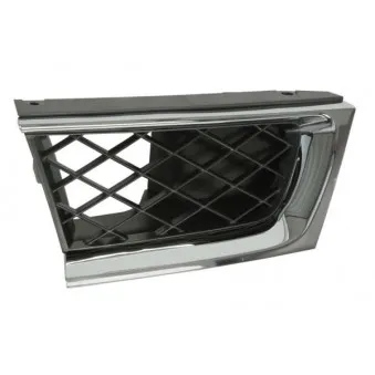 Grille de radiateur avant droit BLIC 6502-07-6733992CP