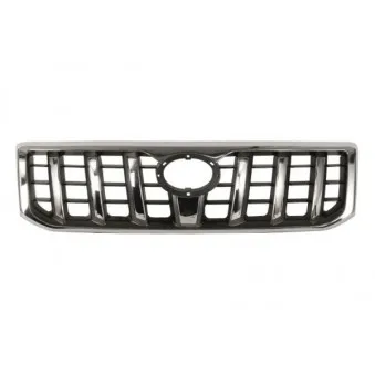 Grille de radiateur BLIC 6502-07-8136990P