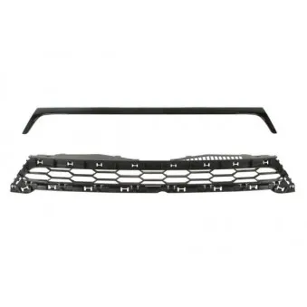 Grille de radiateur BLIC 6502-07-9532992P
