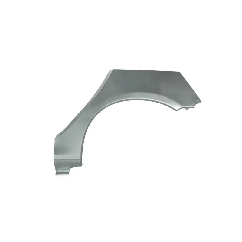Doublure d'aile arrière gauche BLIC 6504-03-5507581K