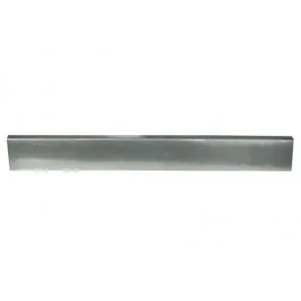 Panneau latéral BLIC 6505-06-3545001P