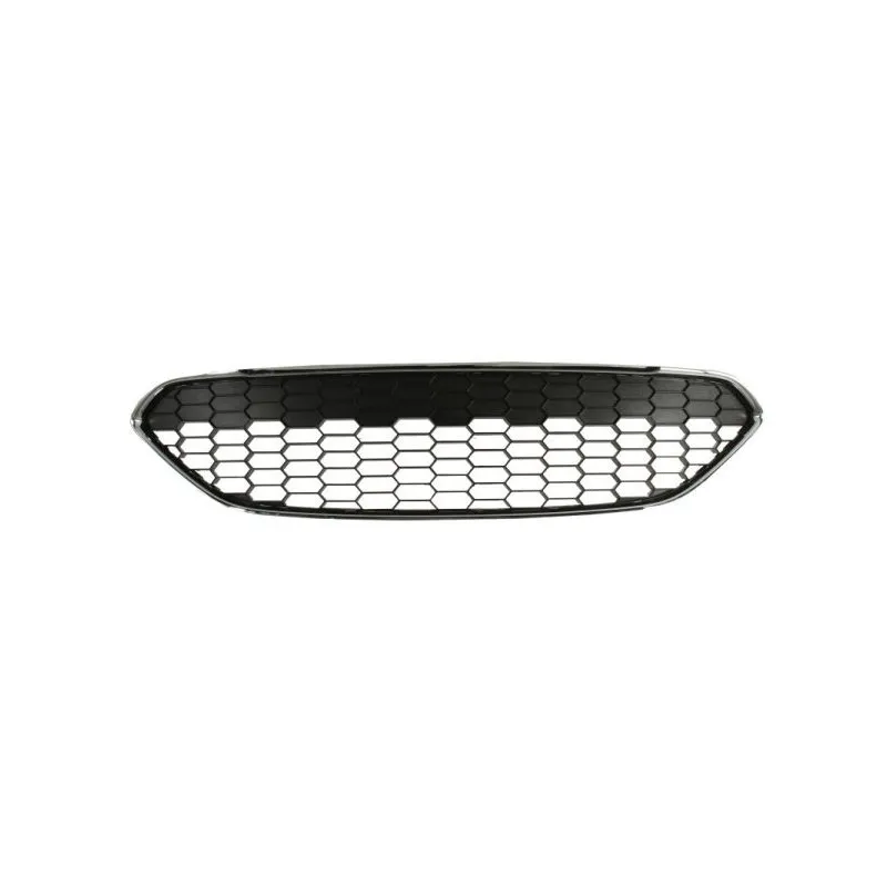 Grille de radiateur BLIC 6509-01-2565990Q