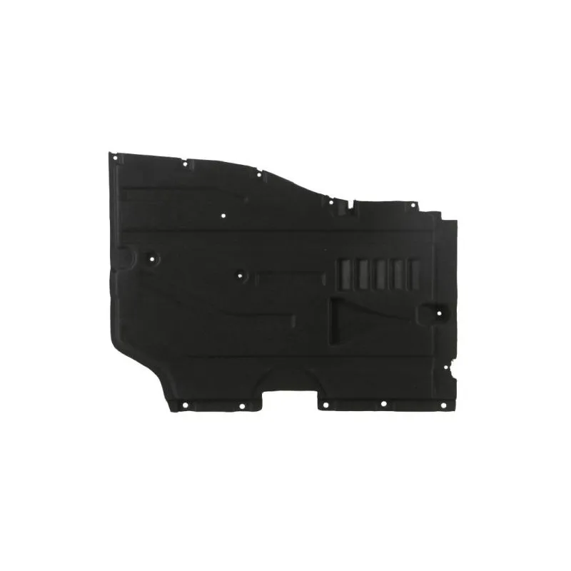 Cache moteur avant gauche BLIC 6601-02-0093981P