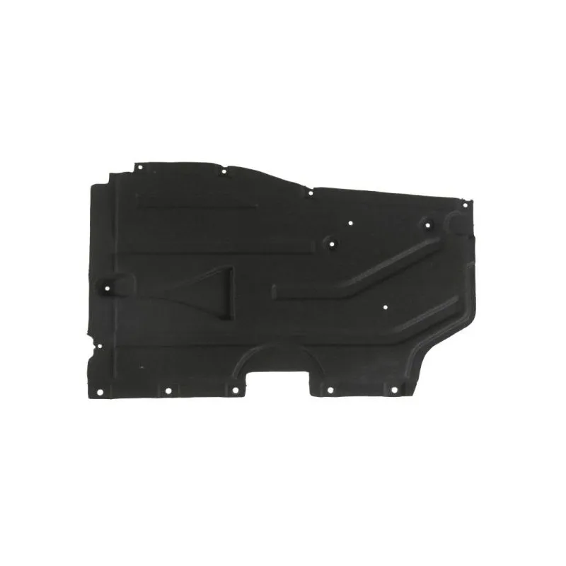 Cache moteur avant droit BLIC 6601-02-0093982P
