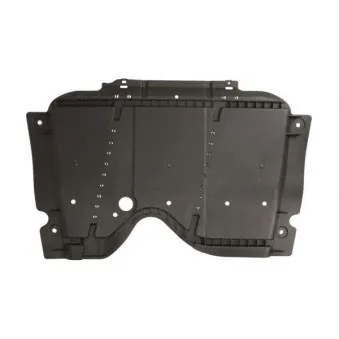 Cache moteur BLIC 6601-02-1013881Q