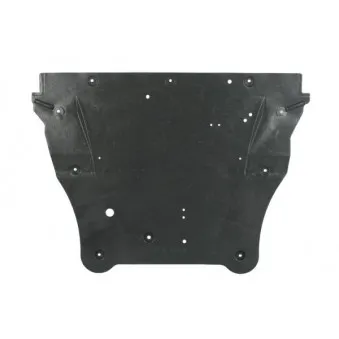 Cache moteur BLIC 6601-02-1617865P
