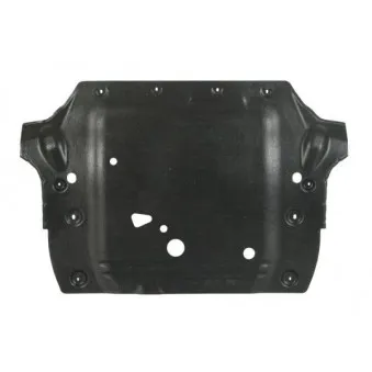 Cache moteur BLIC 6601-02-5054860P