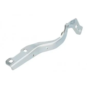 Charnière, capot-moteur BLIC 6802-00-2596451P