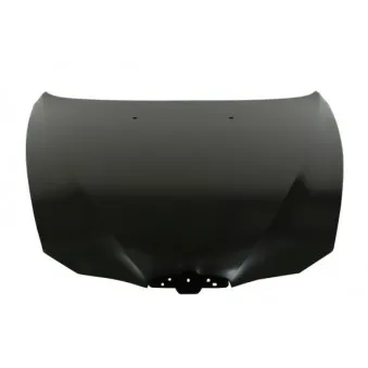 Capot-moteur BLIC